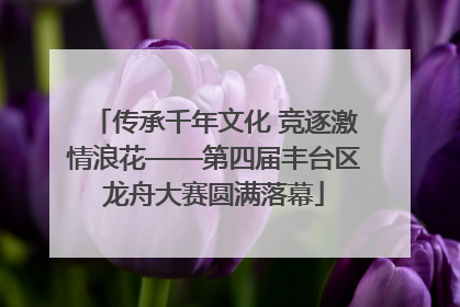 传承千年文化 竞逐激情浪花——第四届丰台区龙舟大赛圆满落幕