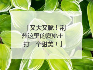 又大又脆！荆州这里的夏桃主打一个甜美！