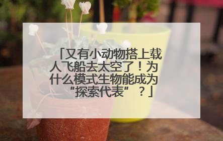 又有小动物搭上载人飞船去太空了！为什么模式生物能成为“探索代表”？
