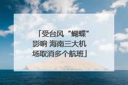 受台风“蝴蝶”影响 海南三大机场取消多个航班