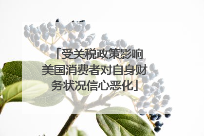 受关税政策影响 美国消费者对自身财务状况信心恶化