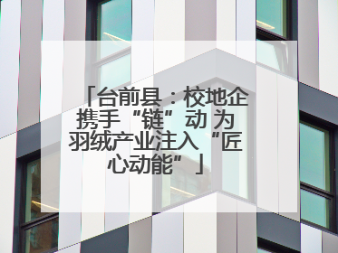 台前县：校地企携手“链”动 为羽绒产业注入“匠心动能”