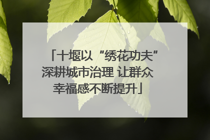 十堰以“绣花功夫”深耕城市治理 让群众幸福感不断提升