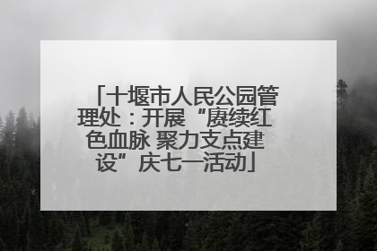 十堰市人民公园管理处：开展“赓续红色血脉 聚力支点建设”庆七一活动