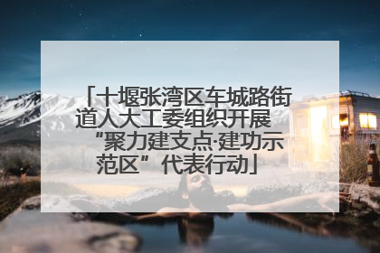 十堰张湾区车城路街道人大工委组织开展 “聚力建支点·建功示范区”代表行动