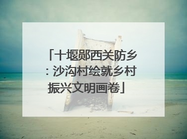 十堰郧西关防乡：沙沟村绘就乡村振兴文明画卷