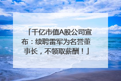 千亿市值A股公司宣布：续聘雷军为名誉董事长，不领取薪酬！