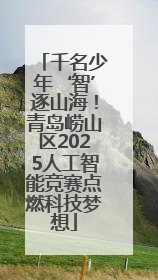 千名少年‘智’逐山海！青岛崂山区2025人工智能竞赛点燃科技梦想