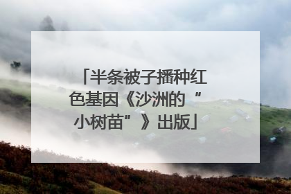 半条被子播种红色基因《沙洲的“小树苗”》出版
