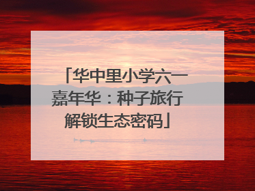 华中里小学六一嘉年华：种子旅行解锁生态密码