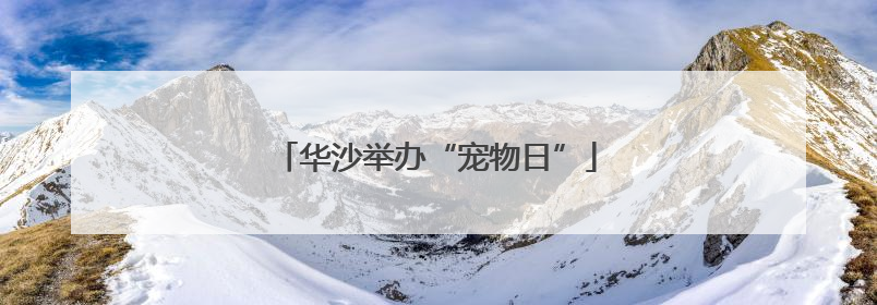 华沙举办“宠物日”