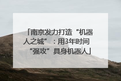 南京发力打造“机器人之城”：用3年时间“强攻”具身机器人