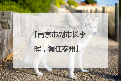 南京市副市长李晖，调任泰州