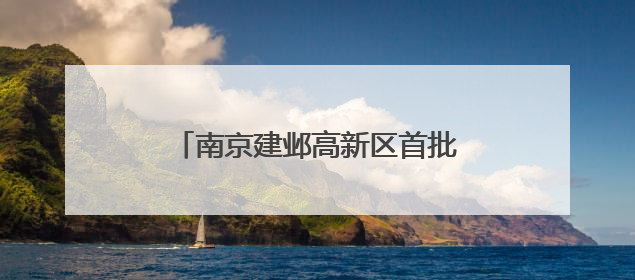 南京建邺高新区首批信创消费券兑现！第二批申报即将启动