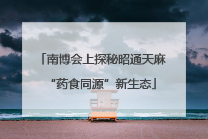 南博会上探秘昭通天麻“药食同源”新生态