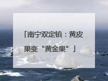 南宁双定镇：黄皮果变“黄金果”