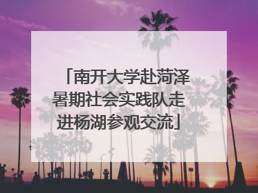 南开大学赴菏泽暑期社会实践队走进杨湖参观交流
