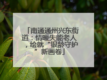 南通通州兴东街道：情暖失能老人，绘就“银龄守护”新画卷