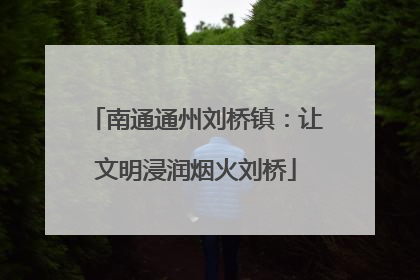 南通通州刘桥镇：让文明浸润烟火刘桥