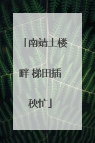 南靖土楼畔 梯田插秧忙