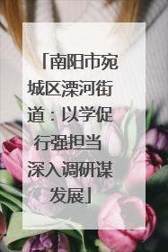 南阳市宛城区溧河街道：以学促行强担当 深入调研谋发展