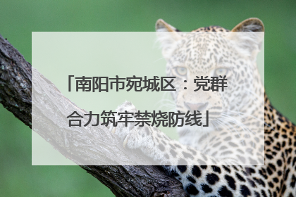 南阳市宛城区：党群合力筑牢禁烧防线