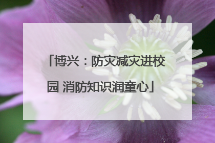 博兴：防灾减灾进校园 消防知识润童心