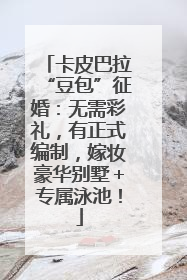 卡皮巴拉“豆包”征婚：无需彩礼，有正式编制，嫁妆豪华别墅＋专属泳池！
