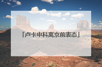 卢卡申科离京前表态