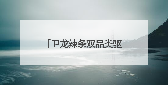 卫龙辣条双品类驱动，领航辣味休闲食品行业千亿赛道