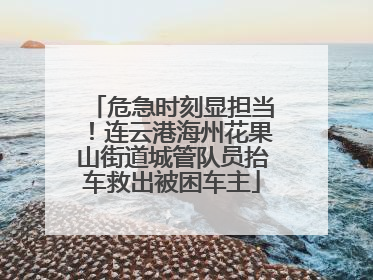 危急时刻显担当！连云港海州花果山街道城管队员抬车救出被困车主