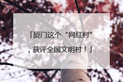厦门这个“网红村”，获评全国文明村！