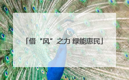 借“风”之力 绿能惠民