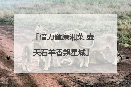 借力健康湘菜 壶天石羊香飘星城
