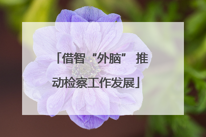 借智“外脑” 推动检察工作发展