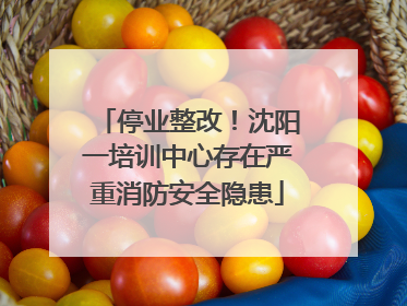 停业整改！沈阳一培训中心存在严重消防安全隐患