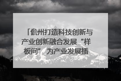 儋州打造科技创新与产业创新融合发展“样板间” 为产业发展插上科技“翅膀”