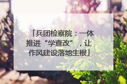 兵团检察院：一体推进“学查改”，让作风建设落地生根