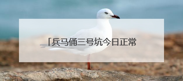 兵马俑三号坑今日正常开放，受损秦俑已移走 观众参观不会受到影响