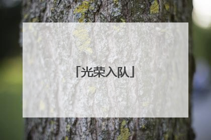 光荣入队