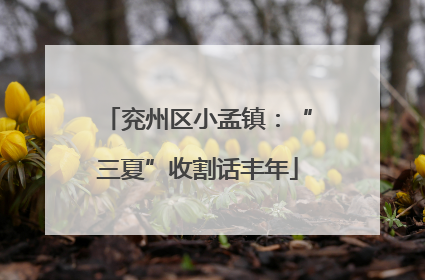 兖州区小孟镇：“三夏”收割话丰年
