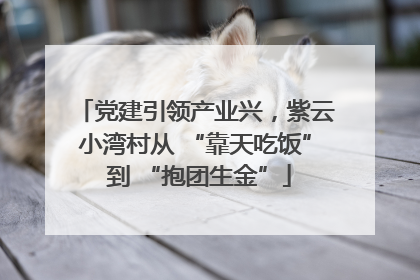 党建引领产业兴，紫云小湾村从 “靠天吃饭” 到 “抱团生金”