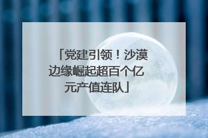 党建引领！沙漠边缘崛起超百个亿元产值连队