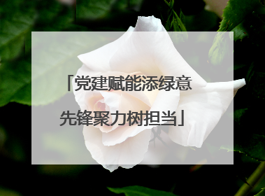 党建赋能添绿意 先锋聚力树担当