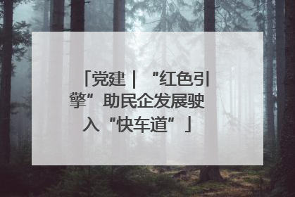 党建｜“红色引擎”助民企发展驶入“快车道”