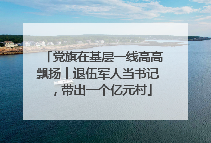 党旗在基层一线高高飘扬丨退伍军人当书记，带出一个亿元村