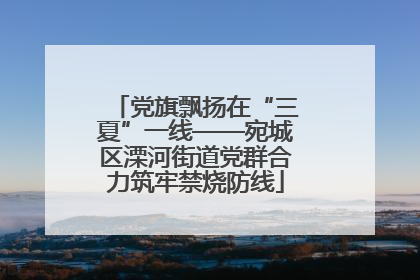党旗飘扬在“三夏”一线——宛城区溧河街道党群合力筑牢禁烧防线
