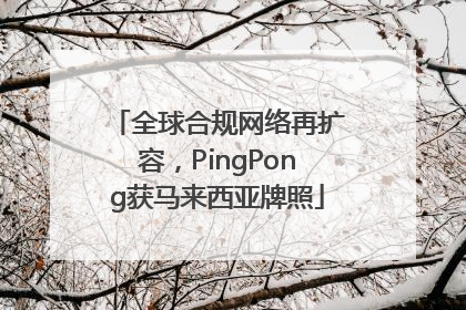 全球合规网络再扩容，PingPong获马来西亚牌照