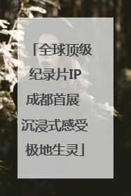 全球顶级纪录片IP成都首展 沉浸式感受极地生灵