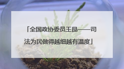 全国政协委员王昆——司法为民做得越细越有温度